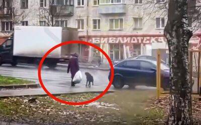 Собака попыталась научить хозяйку ПДД, но тщетно (видео) - zr.ru