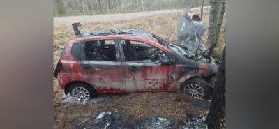 Автомобиль загорелся после столкновения с деревом в Тверской области - afanasy.biz - Тверская обл.
