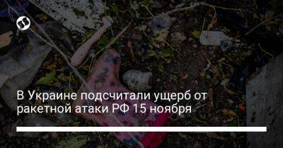 Даниил Гетманцев - В Украине подсчитали ущерб от ракетной атаки РФ 15 ноября - biz.liga.net - Украина - Россия