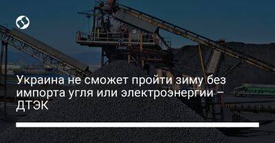 Дмитрий Сахарук - Украина не сможет пройти зиму без импорта угля или электроэнергии – ДТЭК - biz.liga.net - Украина