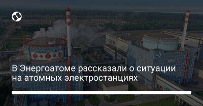 Петр Котин - В Энергоатоме рассказали о ситуации на атомных электростанциях - biz.liga.net - Украина - Россия