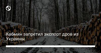 Денис Шмыгаль - Кабмин запретил экспорт дров из Украины - biz.liga.net - Украина