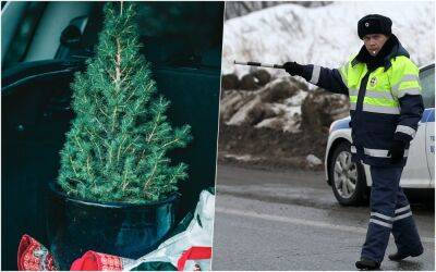 Егор Алеев - Скоро Новый год: как перевозить елку, чтобы не попасть на штраф? - zr.ru