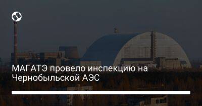 МАГАТЭ провело инспекцию на Чернобыльской АЭС - biz.liga.net - Украина