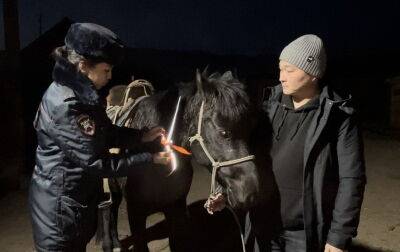 Коров и лошадей экипировали светоотражающими лентами - zr.ru - республика Тыва