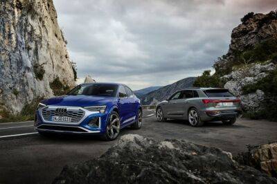 Audi представила новые кроссоверы Q8 e-tron - autostat.ru