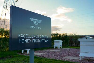 Bentley отчиталась о рекордном сборе меда со своей пасеки Flying Bee - autocentre.ua