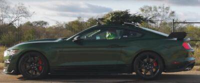 Ford Mustang разогнался до 310 км/ч с елкой на крыше (видео) - autocentre.ua