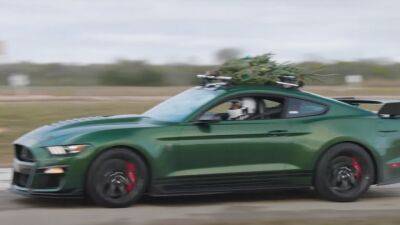 Заряженный Mustang разогнался с елкой на крыше до 309 км в час: видео - auto.24tv.ua - Сша - штат Техас