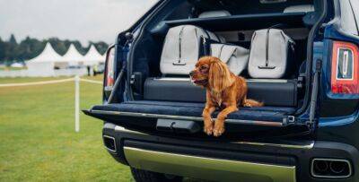 Rolls-Royce собирается производить сиденья для собак под именем топового Bentley - autocentre.ua - Сша - Италия