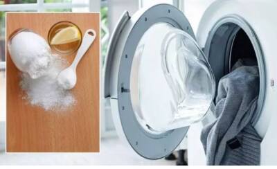 Как избавиться от неприятного запаха в стиральной машине: средство есть в каждом доме - narodna-pravda.ua - Украина - Россия - Днр