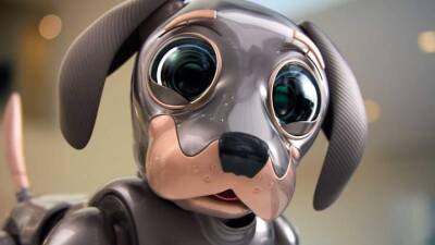 Милый робо-щенок стал главным героем рекламы Kia EV6: видео - auto.24tv.ua