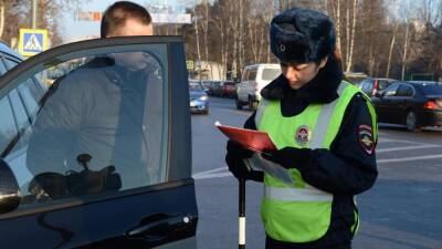 Ирина Ярова - В Госдуме обсуждают новый повод для конфискации автомобиля - motor.ru - Россия