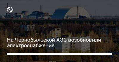 Герман Галущенко - На Чернобыльской АЭС возобновили электроснабжение - biz.liga.net - Украина - Россия