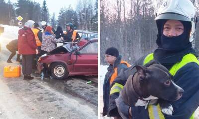 Появились фото страшной аварии, в которой пострадали трое человек - gubdaily.ru - Финляндия - республика Карелия