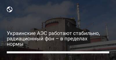 Украинские АЭС работают стабильно, радиационный фон – в пределах нормы - biz.liga.net - Энергодар