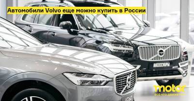 Автомобили Volvo еще можно купить в России - motor.ru - Россия