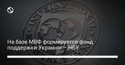Сергей Николайчук - На базе МВФ формируется фонд поддержки Украины – НБУ - biz.liga.net - Украина