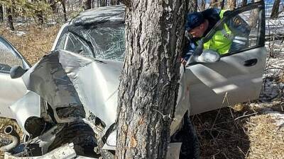 Под Челябинском водитель врезался в дерево и погиб - usedcars.ru - Челябинск - Челябинская обл.