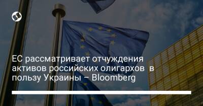 Эрик Мамер - ЕС рассматривает отчуждения активов российских олигархов в пользу Украины – Bloomberg - biz.liga.net - Украина - Россия - Евросоюз - деревня Ляйен