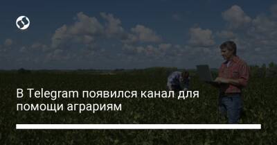 В Telegram появился канал для помощи аграриям - biz.liga.net - Украина