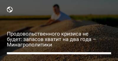 Тарас Высоцкий - Продовольственного кризиса не будет: запасов хватит на два года – Минагрополитики - biz.liga.net - Украина
