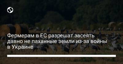 Валдис Домбровскис - Фермерам в ЕС разрешат засеять давно не паханные земли из-за войны в Украине - biz.liga.net - Украина - Россия - Евросоюз