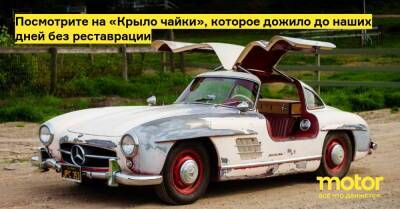 Посмотрите на «Крыло чайки», которое дожило до наших дней без реставрации - motor.ru - Mercedes-Benz