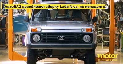 АвтоВАЗ возобновил сборку Lada Niva, но ненадолго - motor.ru - Тольятти