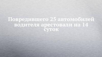 Повредившего 25 автомобилей водителя арестовали на 14 суток - chelny-izvest.ru - Набережные Челны