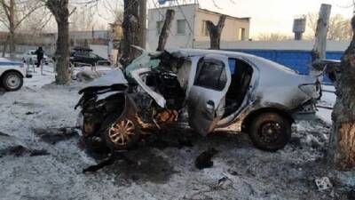 В Челябинске водитель без прав врезался в дерево и погиб - usedcars.ru - Челябинск