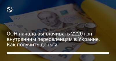ООН начала выплачивать 2220 грн внутренним переселенцам в Украине. Как получить деньги - biz.liga.net - Украина - Ужгород - Львов