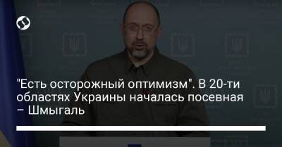 Денис Шмыгаль - "Есть осторожный оптимизм". В 20-ти областях Украины началась посевная – Шмыгаль - biz.liga.net - Украина