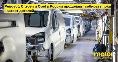 Карлос Таварес - Peugeot, Citroen и Opel в России продолжат собирать пока хватает деталей - motor.ru - Россия