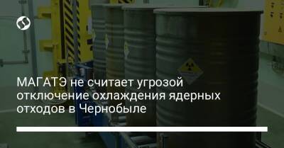 Рафаэль Мариано Гросси - МАГАТЭ не считает угрозой отключение охлаждения ядерных отходов в Чернобыле - biz.liga.net - Украина