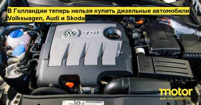 В Голландии теперь нельзя купить дизельные автомобили Volkswagen, Audi и Skoda - motor.ru - Голландия