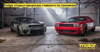 Dodge открыл вакансию главного по пончикам - motor.ru