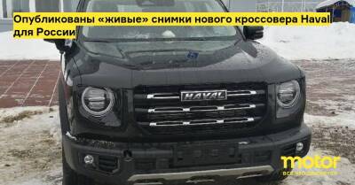 Опубликованы «живые» снимки нового кроссовера Haval для России - motor.ru - Россия - Тула