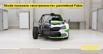Skoda показала «внутренности» раллийной Fabia - motor.ru