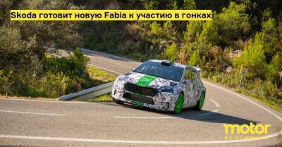 Skoda готовит новую Fabia к участию в гонках - motor.ru