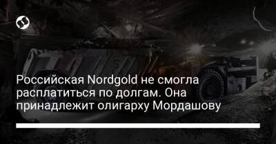 Российская Nordgold не смогла расплатиться по долгам. Она принадлежит олигарху Мордашову - biz.liga.net - Россия