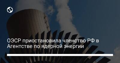 ОЭСР приостановила членство РФ в Агентстве по ядерной энергии - biz.liga.net - Китай - Франция - Сша - Россия - Япония