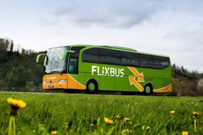 FlixBus возобновляет маршруты по Украине - autocentre.ua - Киев - Украина - Винница - Житомир - Польша - Тернополь - Умань