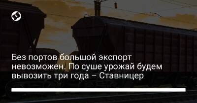 Без портов большой экспорт невозможен. По суше урожай будем вывозить три года – Ставницер - biz.liga.net - Украина