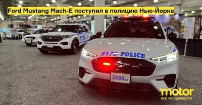 Ford Mustang Mach-E поступил в полицию Нью-Йорка - motor.ru - Нью-Йорк - Нью-Йорк