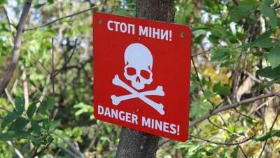 Как не наткнуться на мину при открытии автомобиля или гаража - auto.24tv.ua - Украина