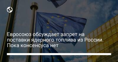 Евросоюз обсуждает запрет на поставки ядерного топлива из России. Пока консенсуса нет - biz.liga.net - Украина - Германия - Россия - Евросоюз - Чехия - Словакия - Венгрия