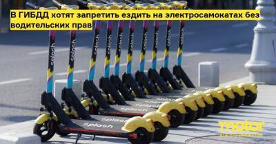 В ГИБДД хотят запретить ездить на электросамокатах без водительских прав - motor.ru - Россия - Новосибирск