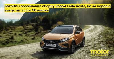 АвтоВАЗ возобновил сборку новой Lada Vesta, но за неделю выпустят всего 56 машин - motor.ru - Тольятти - Ижевск