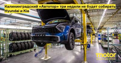 Калининградский «Автотор» три недели не будет собирать Hyundai и Kia - motor.ru - Россия - Калининград